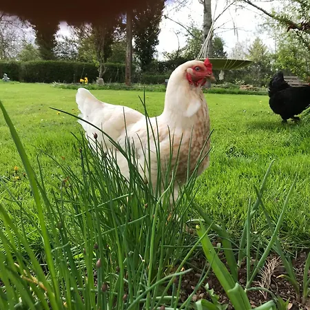 De La Borde Holiday home Fourilles